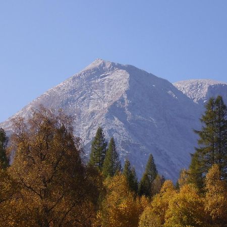 Haus Sonnenweg Lägenhet Leutasch Exteriör bild